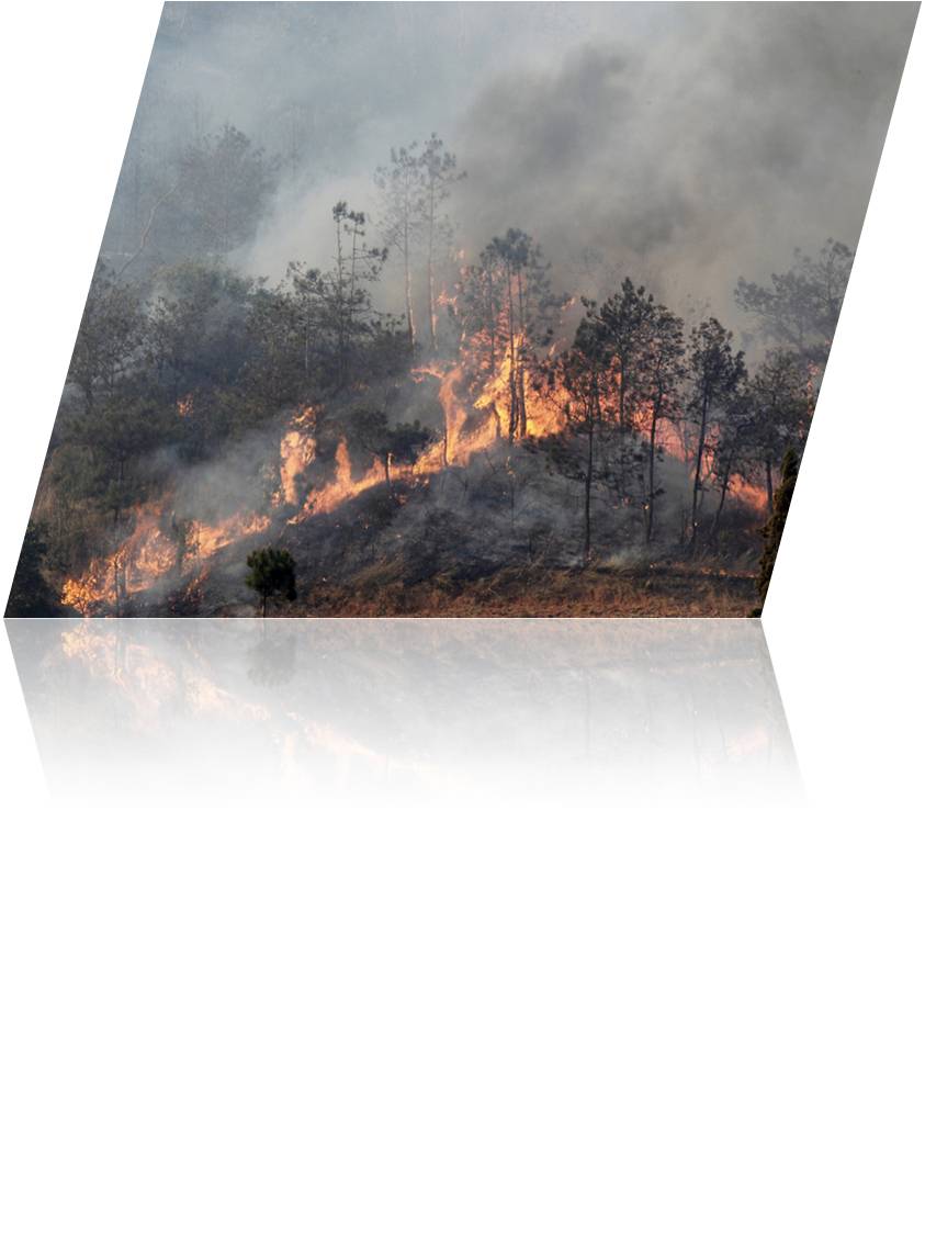 Rodepolan Gyroplane - Forest Fire Prevention