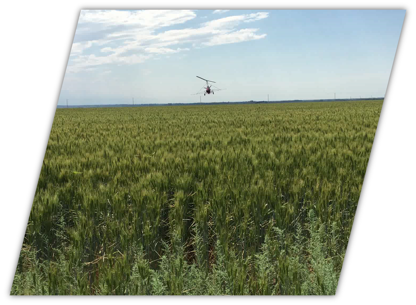 Agricultural Spray System Performance